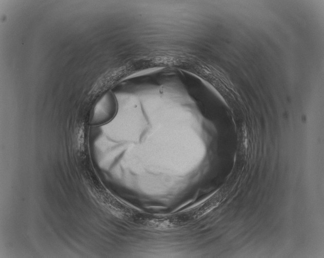 X0000083660502200703051755