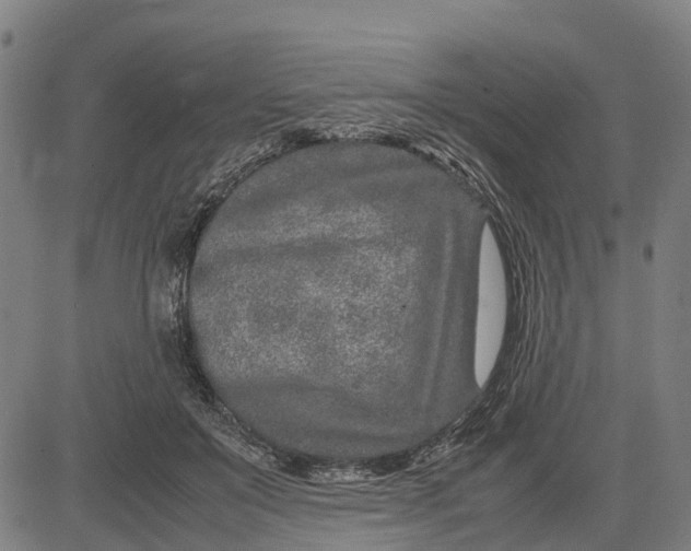 X0000083660503200703051755