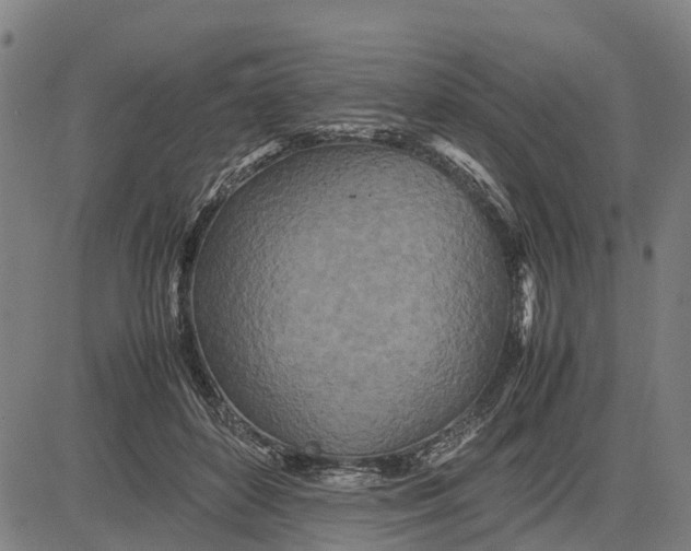 X0000083660504200703051755