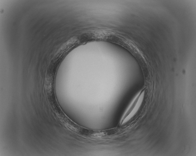 X0000083660505200703051755