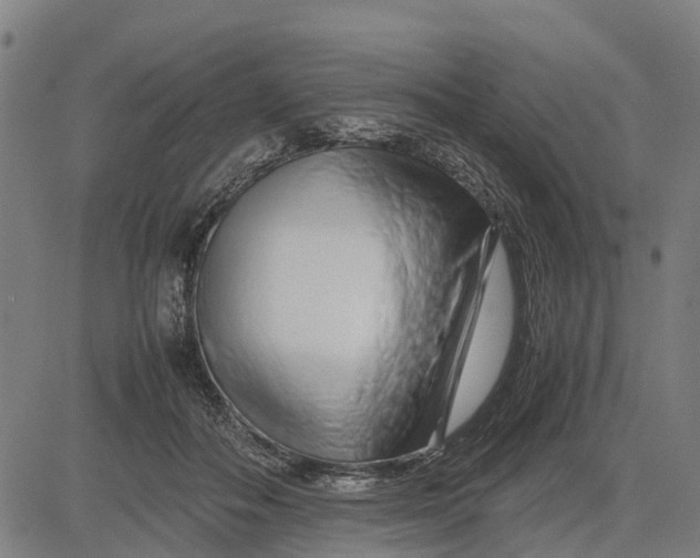 X0000083660506200703051755