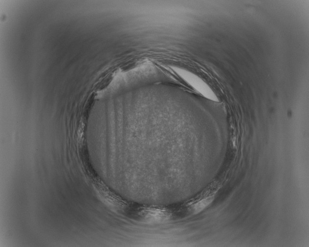 X0000083660507200703051755