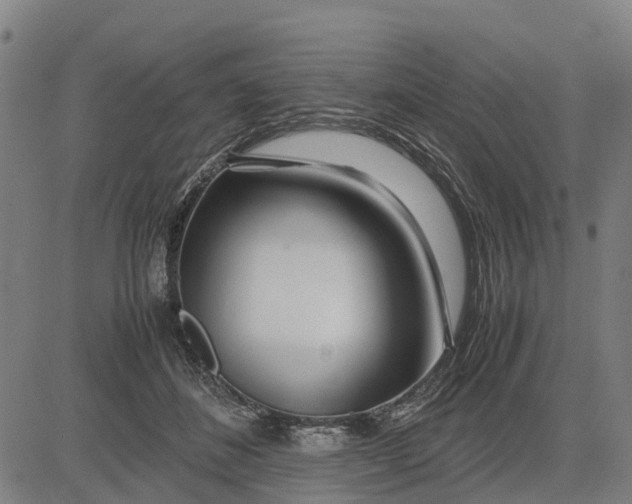 X0000083660508200703051755