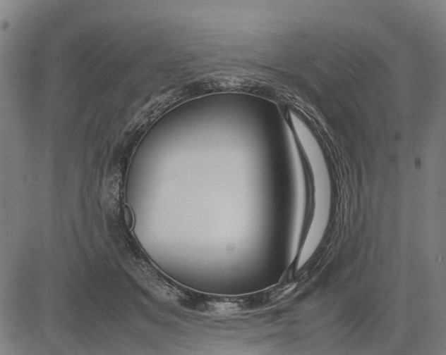 X0000083660509200703051755