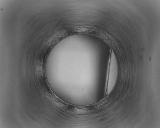 X0000083660510200703051755