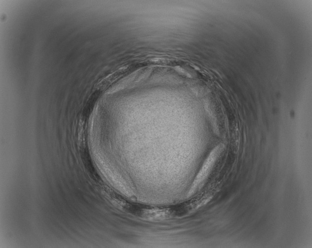 X0000083660511200703051755