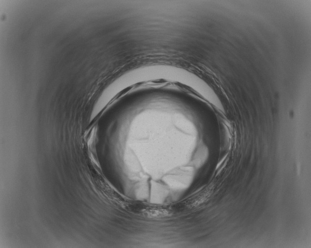 X0000083660512200703051755