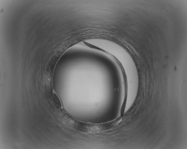 X0000083660513200703051755