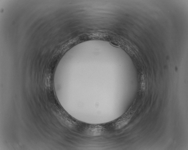 X0000083660514200703051755