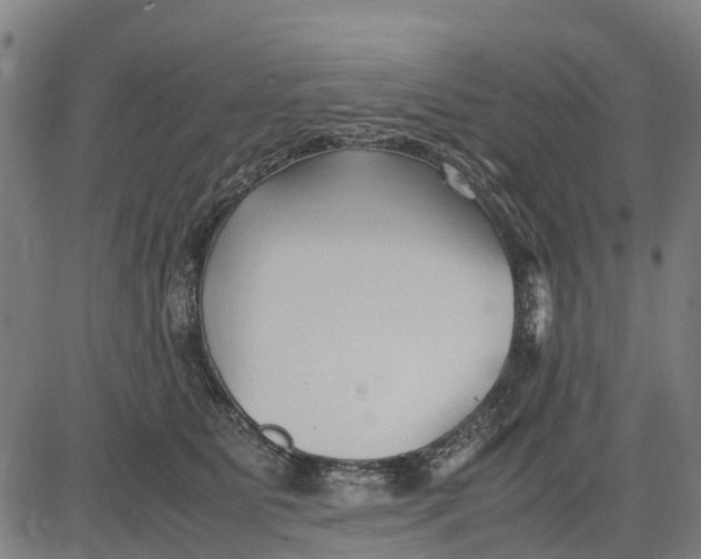 X0000083660515200703051755