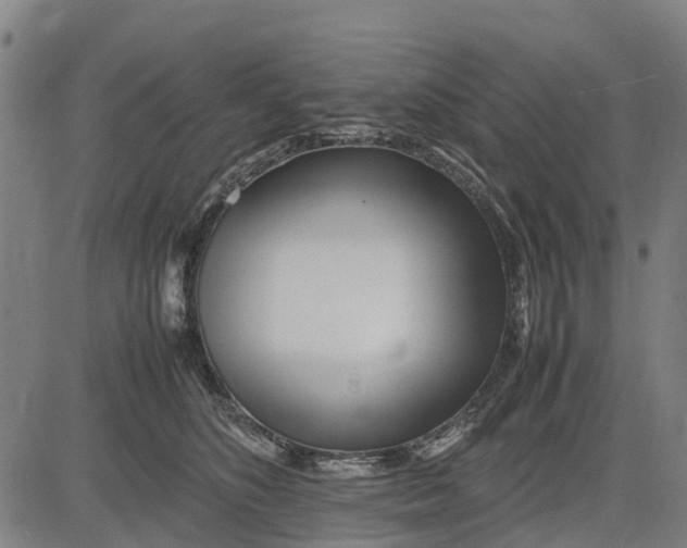 X0000083660516200703051755