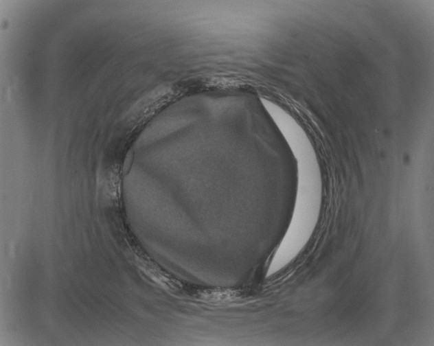 X0000083660517200703051755