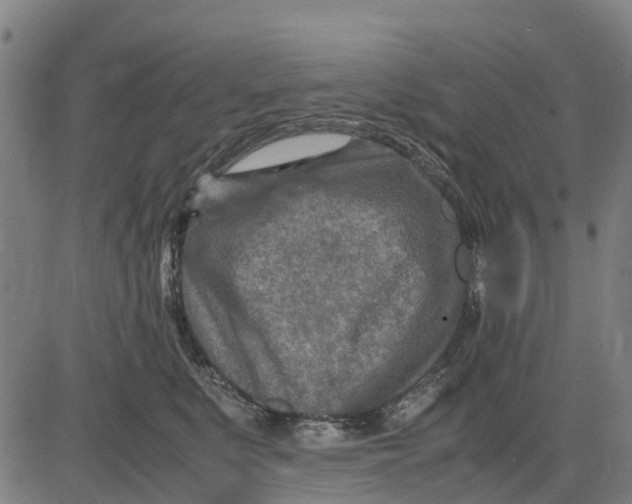 X0000083660519200703051755