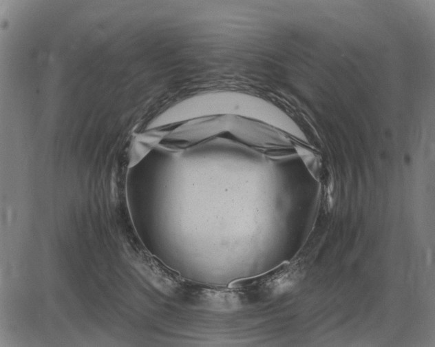 X0000083660520200703051755