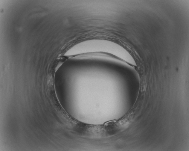 X0000083660521200703051755