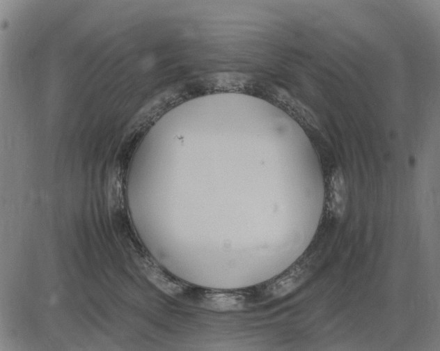 X0000083660522200703051755