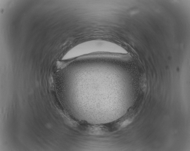 X0000083660523200703051755