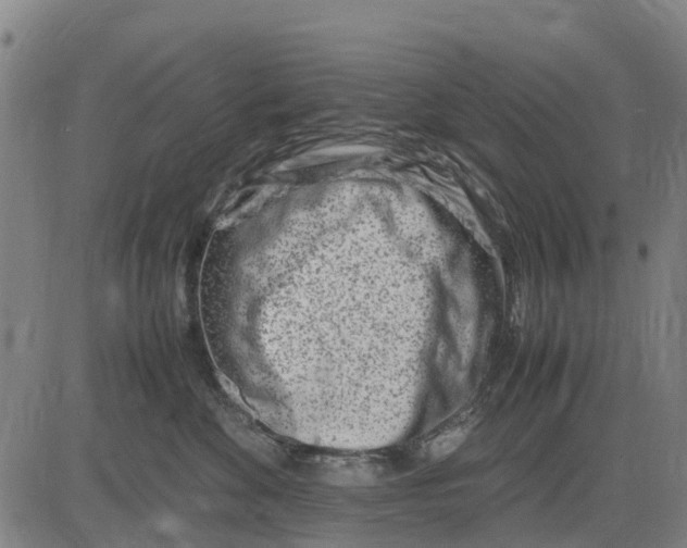 X0000083660524200703051755