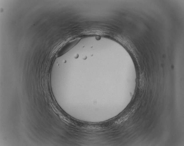 X0000083660529200703051754