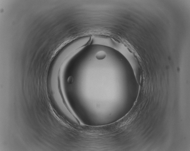 X0000083660530200703051754