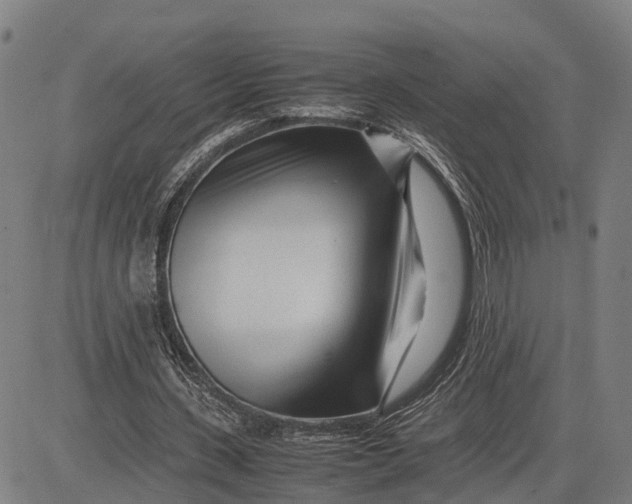 X0000083660531200703051754