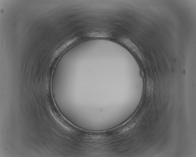 X0000083660533200703051754