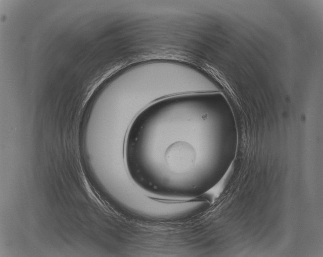 X0000083660534200703051754