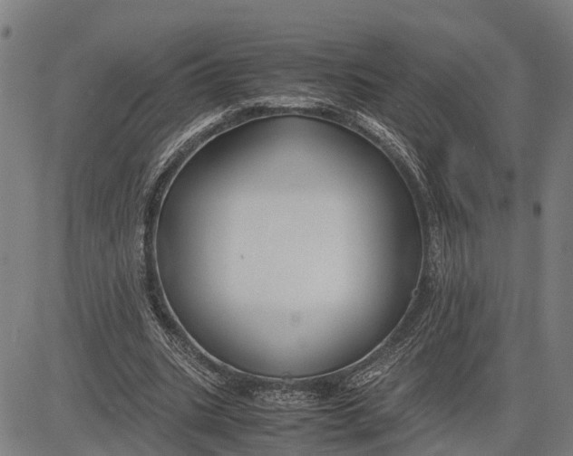 X0000083660535200703051754