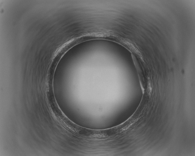 X0000083660536200703051754