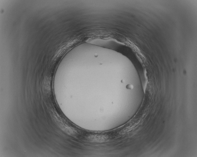 X0000083660537200703051754