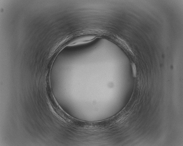 X0000083660538200703051754