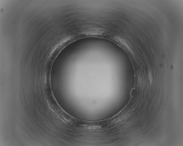 X0000083660539200703051754