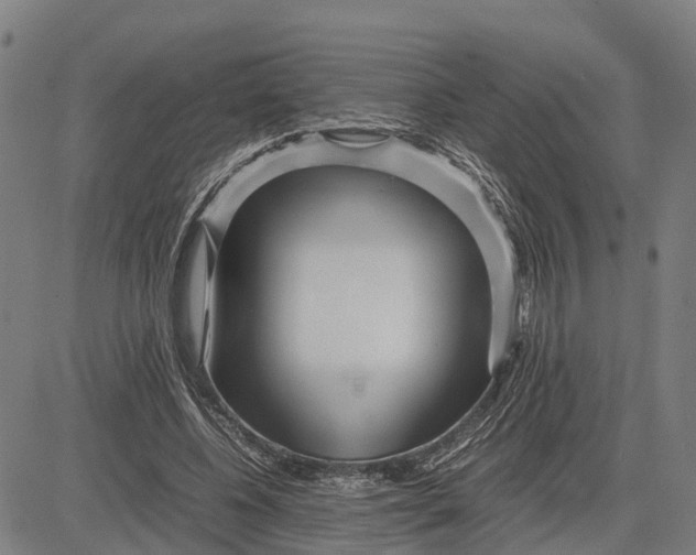 X0000083660540200703051754