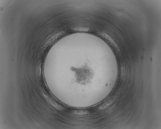 X0000083660541200703051754