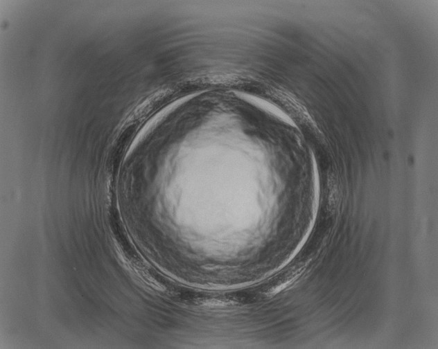 X0000083660542200703051754