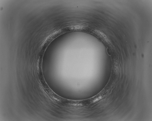 X0000083660543200703051754