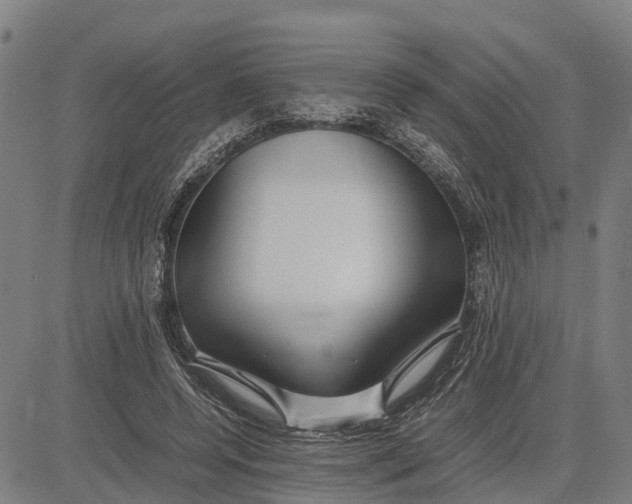 X0000083660544200703051754