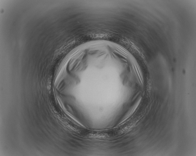 X0000083660545200703051754