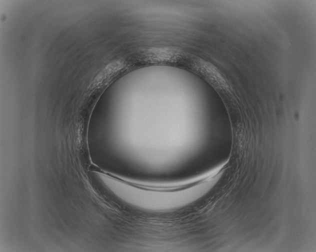 X0000083660546200703051754