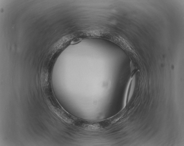 X0000083660548200703051754