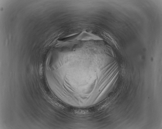 X0000083660549200703051754