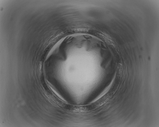 X0000083660550200703051754