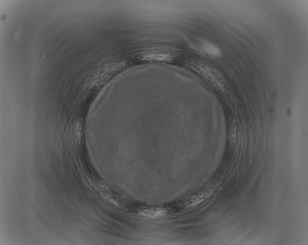 X0000083660551200703051754