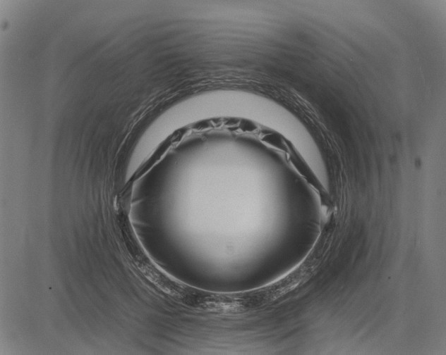 X0000083660552200703051754