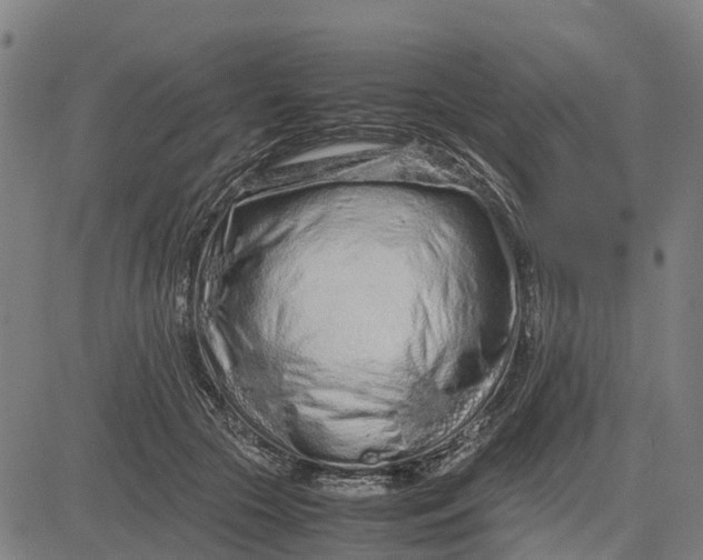 X0000083660553200703051754