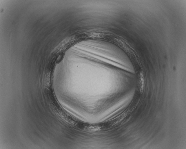 X0000083660554200703051754