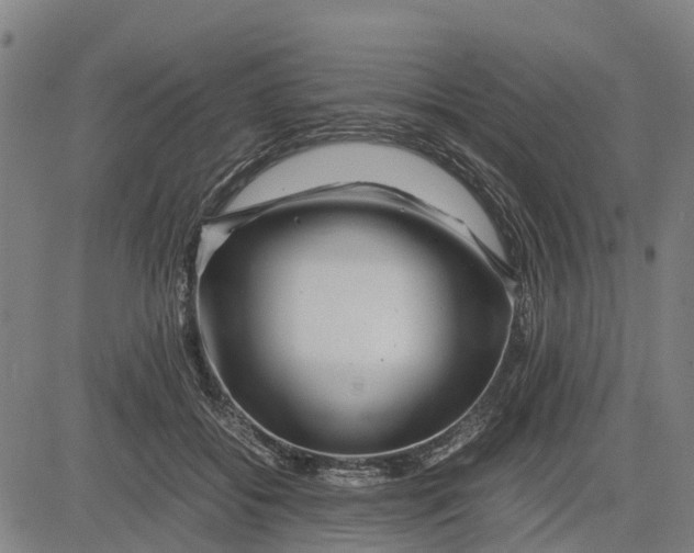 X0000083660556200703051754