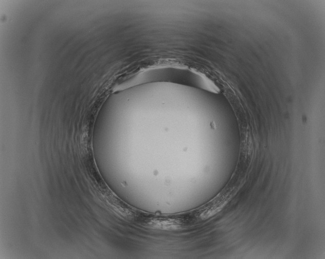 X0000083660557200703051754