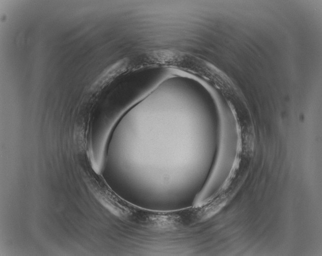 X0000083660558200703051754