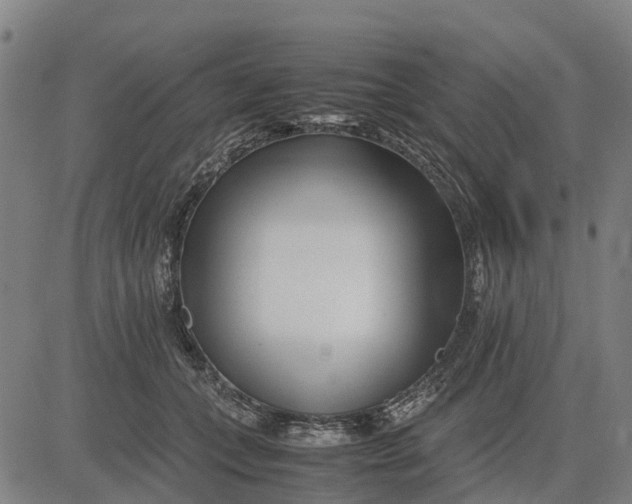 X0000083660559200703051755